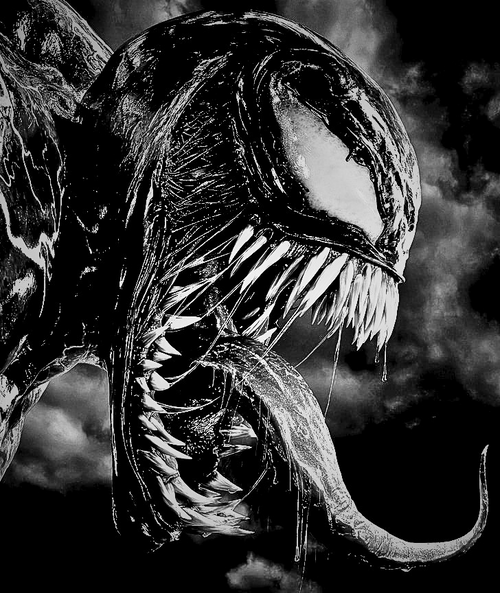 Venom | Marvel | DarkCollectionStudio